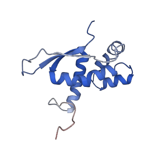6559_3jcj_M_v1-2
Structures of ribosome-bound initiation factor 2 reveal the mechanism of subunit association