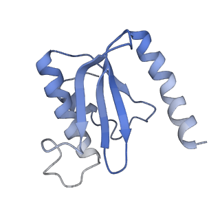 6559_3jcj_N_v1-2
Structures of ribosome-bound initiation factor 2 reveal the mechanism of subunit association