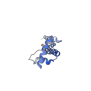 6559_3jcj_P_v1-2
Structures of ribosome-bound initiation factor 2 reveal the mechanism of subunit association
