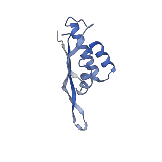 6559_3jcj_R_v1-2
Structures of ribosome-bound initiation factor 2 reveal the mechanism of subunit association