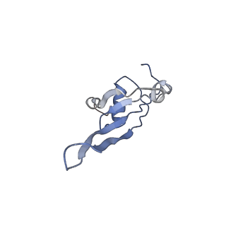 6559_3jcj_S_v1-2
Structures of ribosome-bound initiation factor 2 reveal the mechanism of subunit association