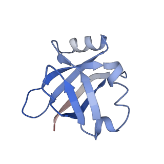 6559_3jcj_U_v1-2
Structures of ribosome-bound initiation factor 2 reveal the mechanism of subunit association