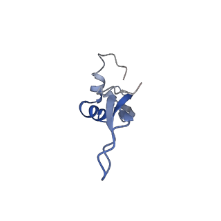 6559_3jcj_W_v1-2
Structures of ribosome-bound initiation factor 2 reveal the mechanism of subunit association