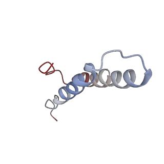 6559_3jcj_X_v1-2
Structures of ribosome-bound initiation factor 2 reveal the mechanism of subunit association