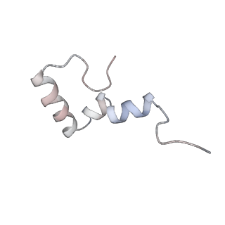 6559_3jcj_b_v1-2
Structures of ribosome-bound initiation factor 2 reveal the mechanism of subunit association