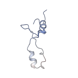 6559_3jcj_c_v1-2
Structures of ribosome-bound initiation factor 2 reveal the mechanism of subunit association