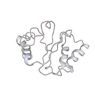 6559_3jcj_e_v1-2
Structures of ribosome-bound initiation factor 2 reveal the mechanism of subunit association