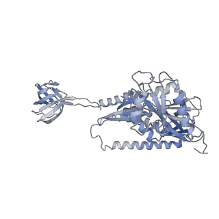 6559_3jcj_f_v1-2
Structures of ribosome-bound initiation factor 2 reveal the mechanism of subunit association