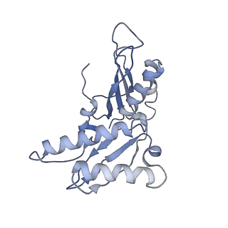 6559_3jcj_h_v1-2
Structures of ribosome-bound initiation factor 2 reveal the mechanism of subunit association