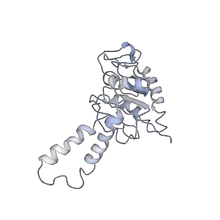 6559_3jcj_j_v1-2
Structures of ribosome-bound initiation factor 2 reveal the mechanism of subunit association