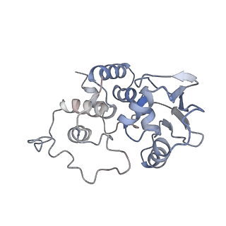 6559_3jcj_l_v1-2
Structures of ribosome-bound initiation factor 2 reveal the mechanism of subunit association