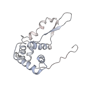 6559_3jcj_m_v1-2
Structures of ribosome-bound initiation factor 2 reveal the mechanism of subunit association