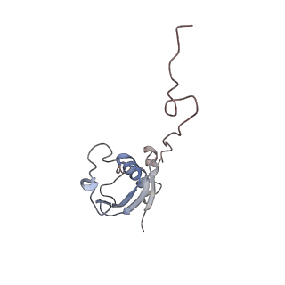 6559_3jcj_o_v1-2
Structures of ribosome-bound initiation factor 2 reveal the mechanism of subunit association
