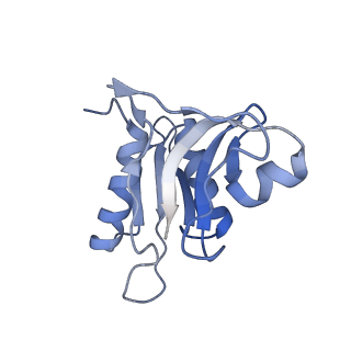 6559_3jcj_p_v1-2
Structures of ribosome-bound initiation factor 2 reveal the mechanism of subunit association