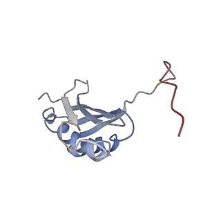 6559_3jcj_q_v1-2
Structures of ribosome-bound initiation factor 2 reveal the mechanism of subunit association