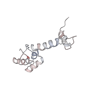 6559_3jcj_s_v1-2
Structures of ribosome-bound initiation factor 2 reveal the mechanism of subunit association