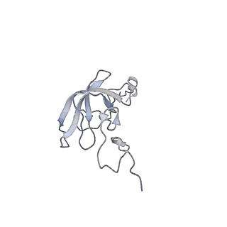 6559_3jcj_t_v1-2
Structures of ribosome-bound initiation factor 2 reveal the mechanism of subunit association