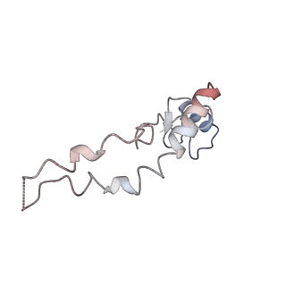 6559_3jcj_w_v1-2
Structures of ribosome-bound initiation factor 2 reveal the mechanism of subunit association