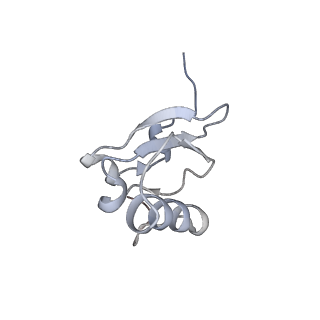 6559_3jcj_z_v1-2
Structures of ribosome-bound initiation factor 2 reveal the mechanism of subunit association
