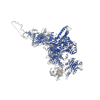 6561_3jcm_A_v1-1
Cryo-EM structure of the spliceosomal U4/U6.U5 tri-snRNP