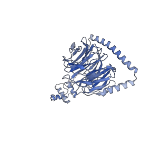 6561_3jcm_B_v1-1
Cryo-EM structure of the spliceosomal U4/U6.U5 tri-snRNP