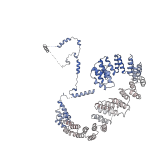 6561_3jcm_G_v1-1
Cryo-EM structure of the spliceosomal U4/U6.U5 tri-snRNP