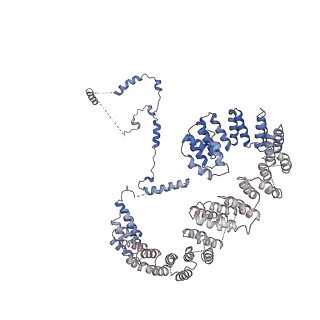 6561_3jcm_G_v1-2
Cryo-EM structure of the spliceosomal U4/U6.U5 tri-snRNP