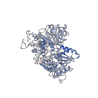 6561_3jcm_H_v1-1
Cryo-EM structure of the spliceosomal U4/U6.U5 tri-snRNP