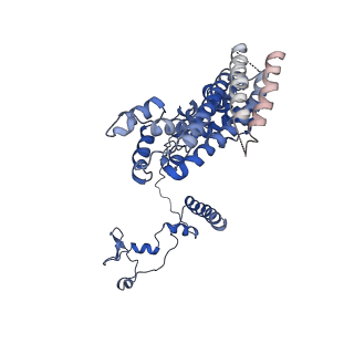 6561_3jcm_I_v1-1
Cryo-EM structure of the spliceosomal U4/U6.U5 tri-snRNP