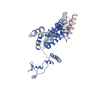 6561_3jcm_I_v1-2
Cryo-EM structure of the spliceosomal U4/U6.U5 tri-snRNP