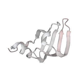 6561_3jcm_J_v1-1
Cryo-EM structure of the spliceosomal U4/U6.U5 tri-snRNP