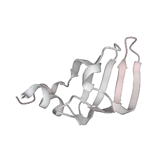 6561_3jcm_J_v1-2
Cryo-EM structure of the spliceosomal U4/U6.U5 tri-snRNP