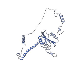 6561_3jcm_K_v1-2
Cryo-EM structure of the spliceosomal U4/U6.U5 tri-snRNP