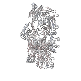 6561_3jcm_N_v1-1
Cryo-EM structure of the spliceosomal U4/U6.U5 tri-snRNP