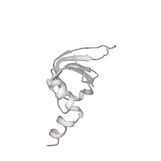 6561_3jcm_Q_v1-2
Cryo-EM structure of the spliceosomal U4/U6.U5 tri-snRNP