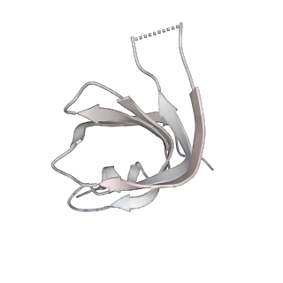 6561_3jcm_S_v1-2
Cryo-EM structure of the spliceosomal U4/U6.U5 tri-snRNP