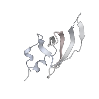 6561_3jcm_T_v1-1
Cryo-EM structure of the spliceosomal U4/U6.U5 tri-snRNP