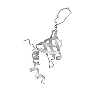6561_3jcm_U_v1-1
Cryo-EM structure of the spliceosomal U4/U6.U5 tri-snRNP