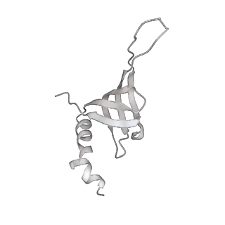 6561_3jcm_U_v1-2
Cryo-EM structure of the spliceosomal U4/U6.U5 tri-snRNP