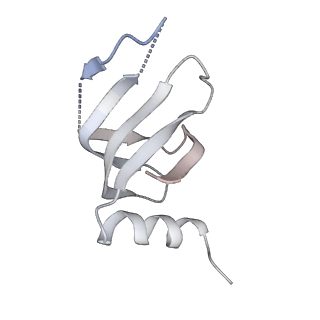 6561_3jcm_V_v1-2
Cryo-EM structure of the spliceosomal U4/U6.U5 tri-snRNP