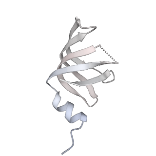 6561_3jcm_W_v1-1
Cryo-EM structure of the spliceosomal U4/U6.U5 tri-snRNP