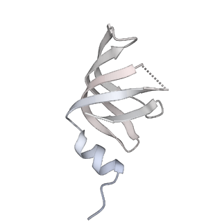 6561_3jcm_W_v1-2
Cryo-EM structure of the spliceosomal U4/U6.U5 tri-snRNP