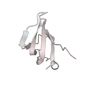 6561_3jcm_X_v1-2
Cryo-EM structure of the spliceosomal U4/U6.U5 tri-snRNP