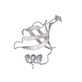 6561_3jcm_Y_v1-1
Cryo-EM structure of the spliceosomal U4/U6.U5 tri-snRNP
