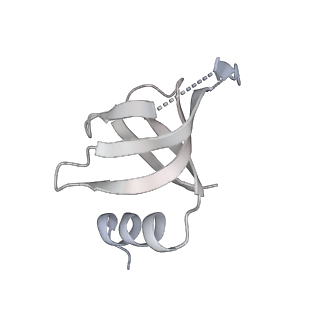 6561_3jcm_Y_v1-2
Cryo-EM structure of the spliceosomal U4/U6.U5 tri-snRNP