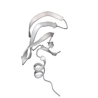 6561_3jcm_Z_v1-2
Cryo-EM structure of the spliceosomal U4/U6.U5 tri-snRNP