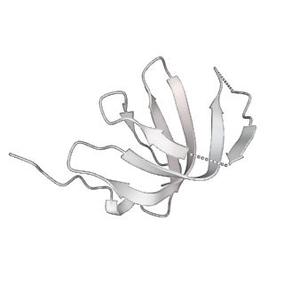 6561_3jcm_a_v1-1
Cryo-EM structure of the spliceosomal U4/U6.U5 tri-snRNP