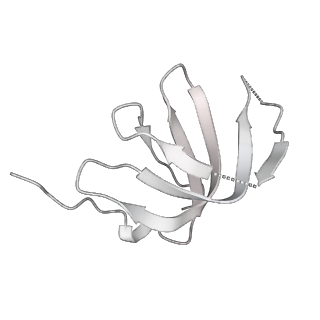 6561_3jcm_a_v1-2
Cryo-EM structure of the spliceosomal U4/U6.U5 tri-snRNP