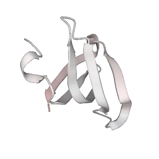 6561_3jcm_b_v1-1
Cryo-EM structure of the spliceosomal U4/U6.U5 tri-snRNP