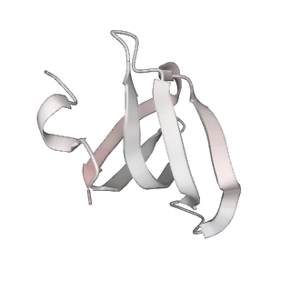 6561_3jcm_b_v1-2
Cryo-EM structure of the spliceosomal U4/U6.U5 tri-snRNP
